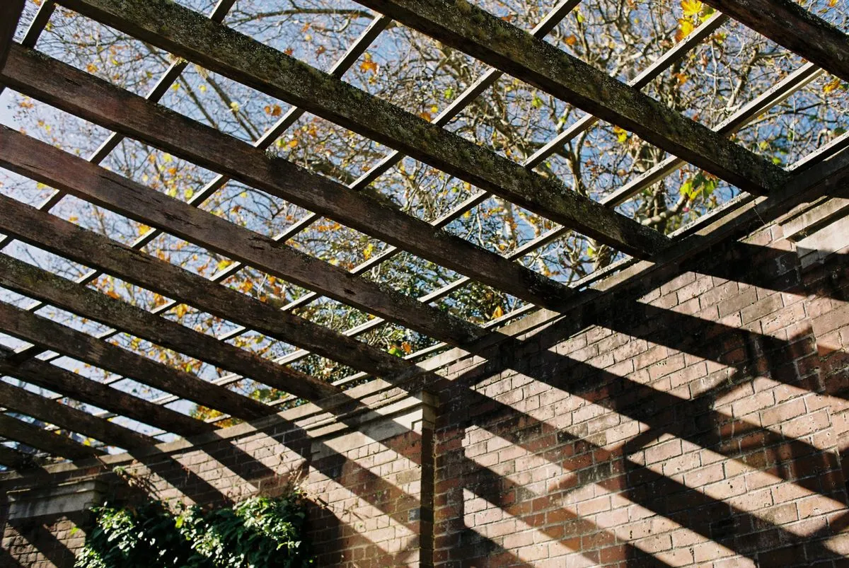 Chevrons d'une pergola en bois projetant des ombres rayées sur un mur de briques, sous un feuillage d'automne