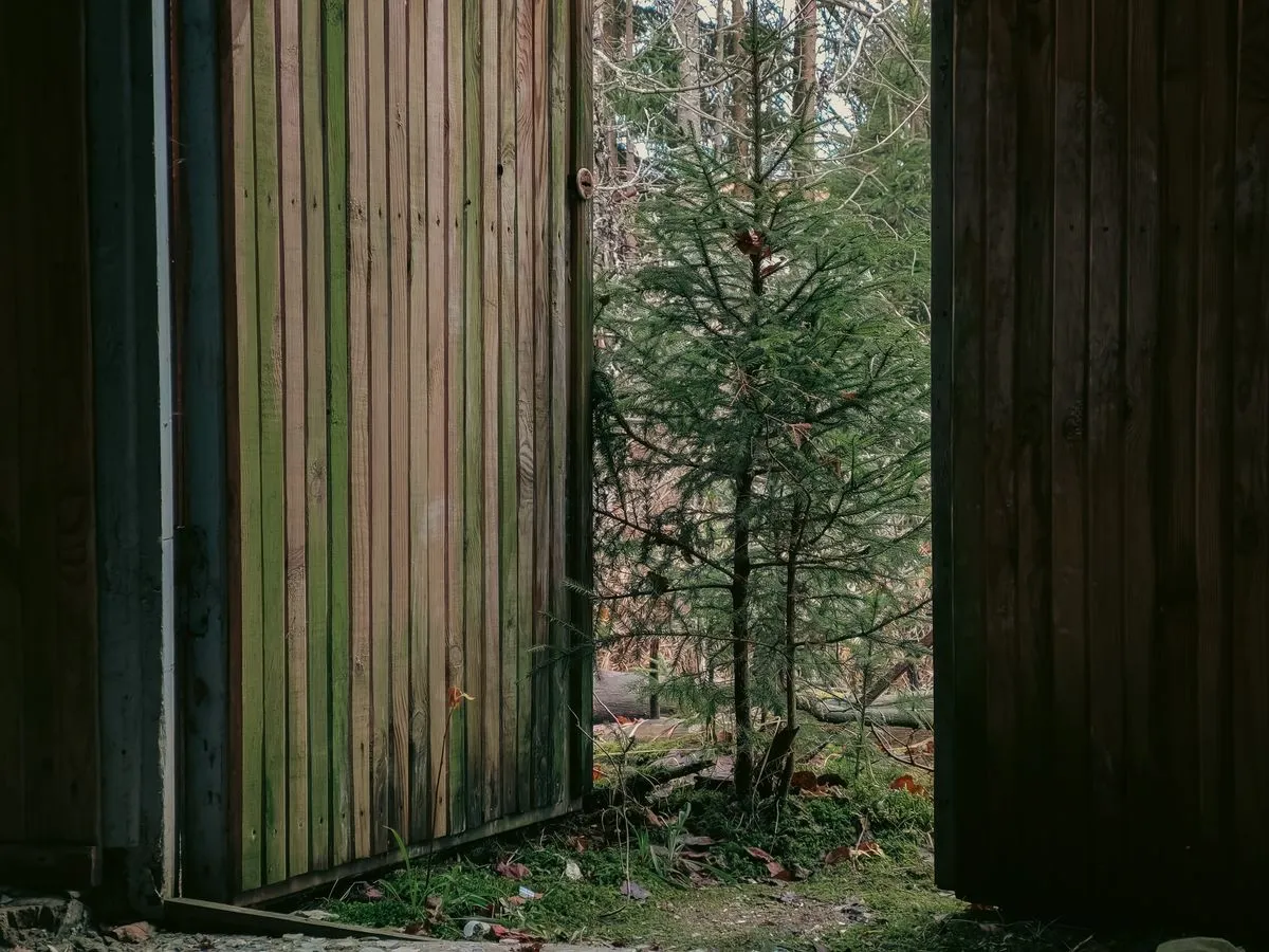 Portail en lames de bois verticales à demi ouvert sur une parcelle plantée de jeunes conifères