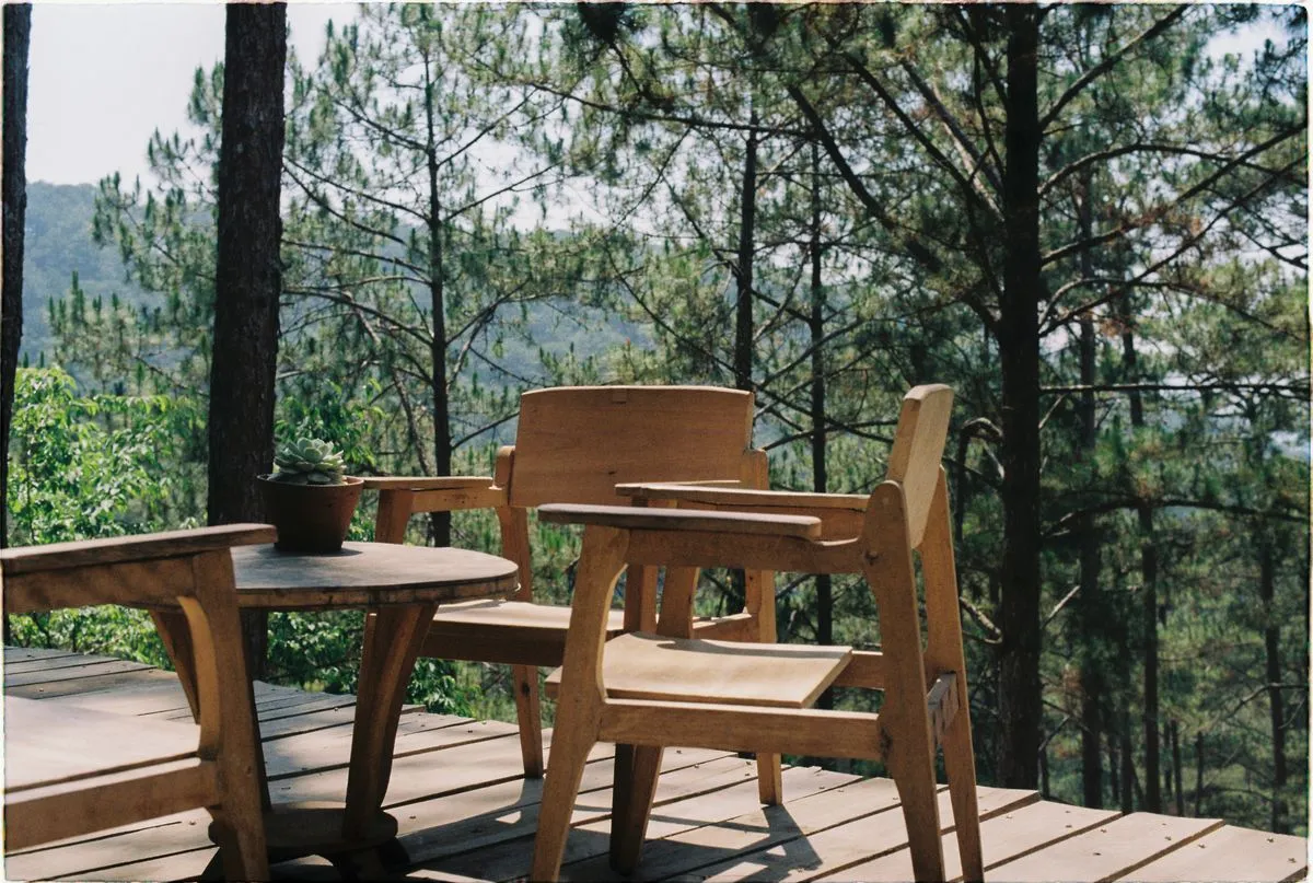 Terrasse en lames de bois avec table et chaises en bois, en surplomb d'une forêt de pins